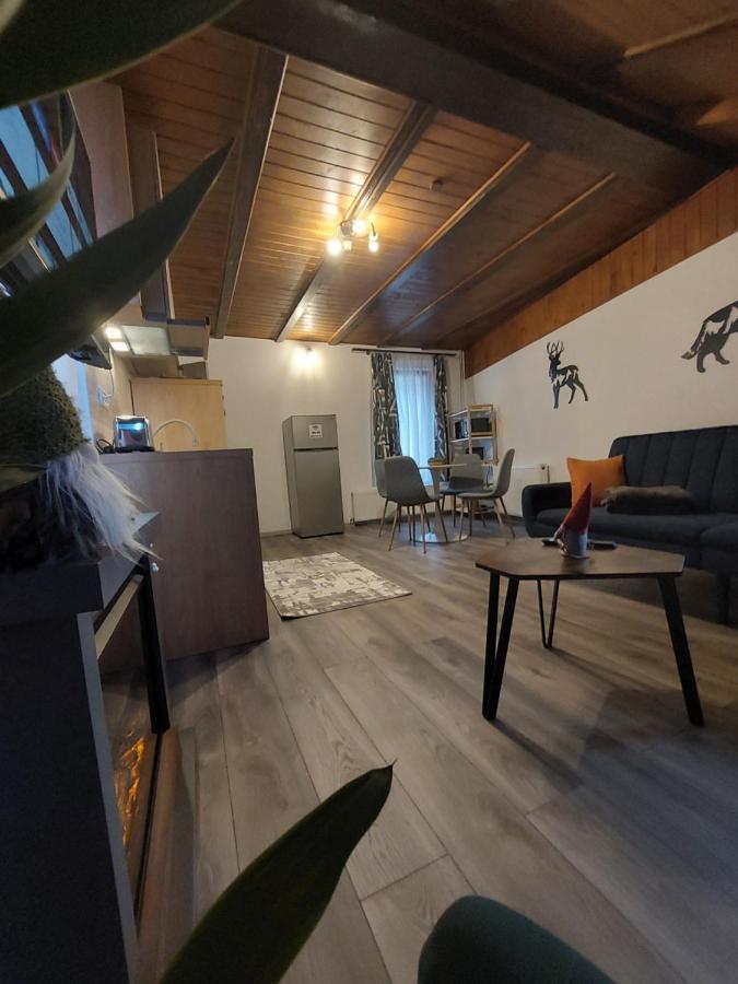 Snug Apartments - Private Parking Near Downtown Brasov Exterior photo